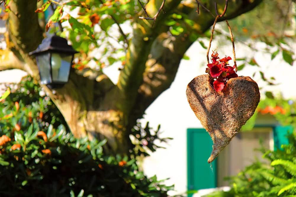Photo of Outdoor in Schiazzano