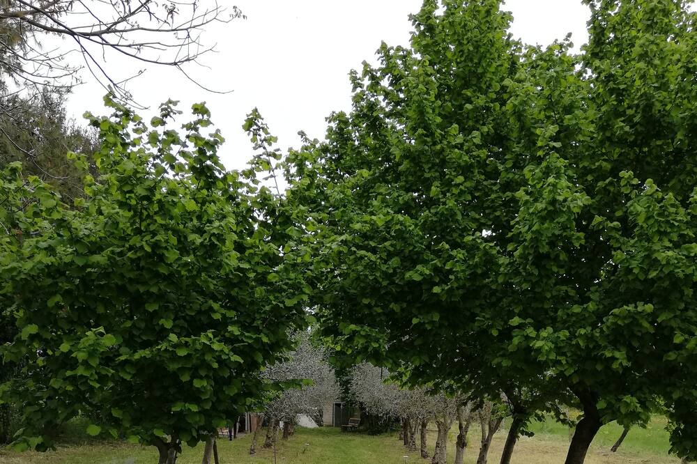 Photo of Outdoor in Benevento