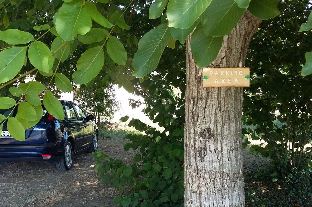 Photo of Outdoor in Benevento