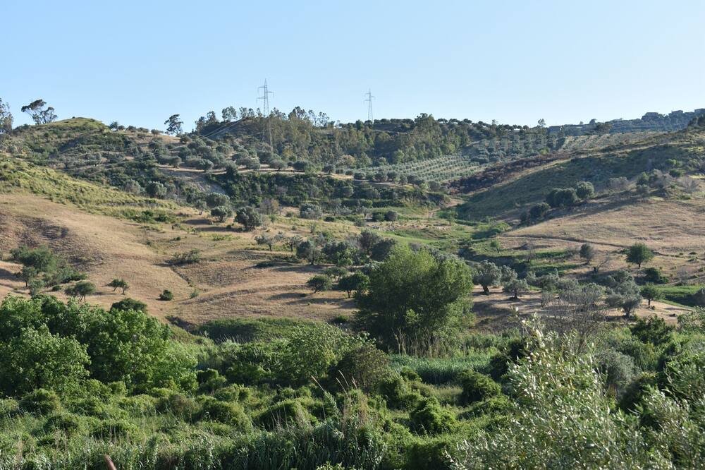 Photo of Others in Caulonia
