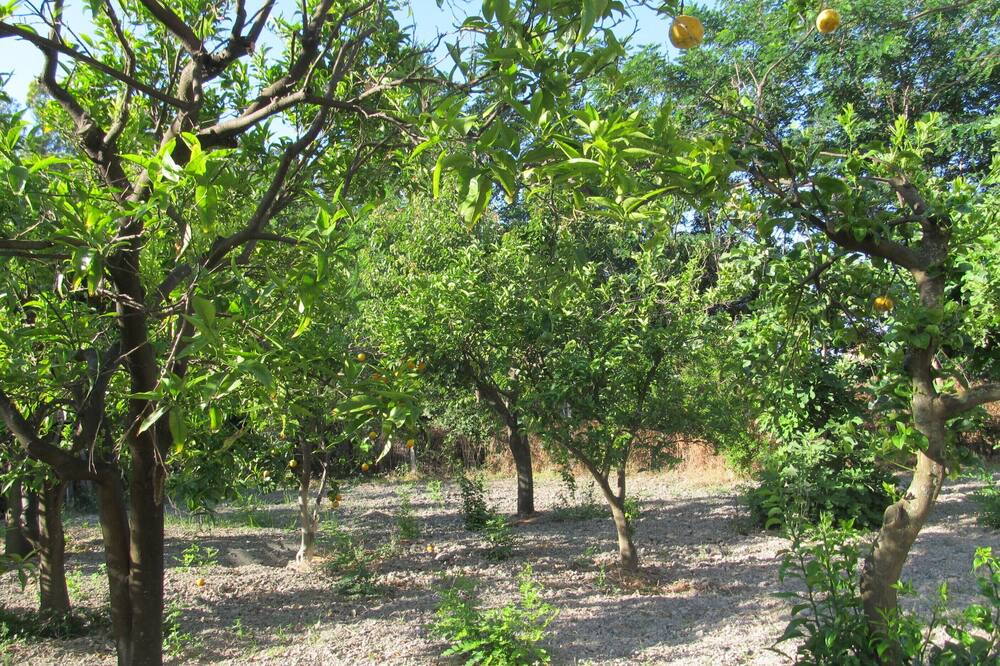 Photo of Outdoor in Villapiana Lido