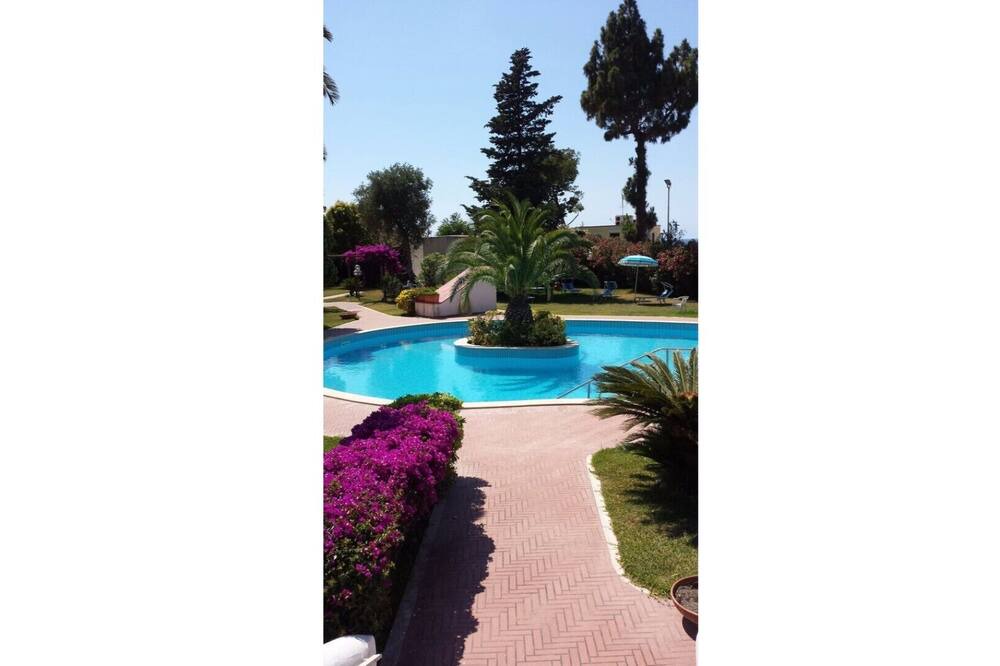 Photo of Outdoor in Licola