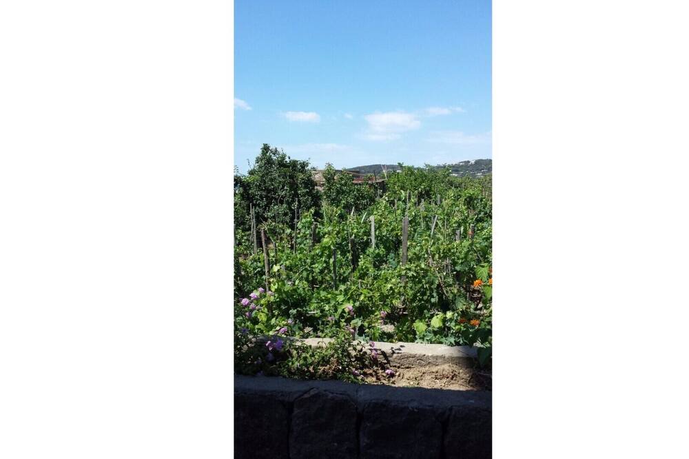 Photo of Outdoor in Licola