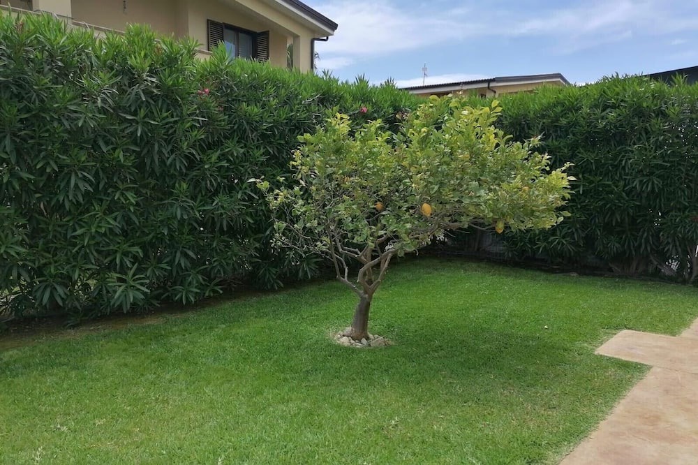 Photo of Outdoor in Caulonia