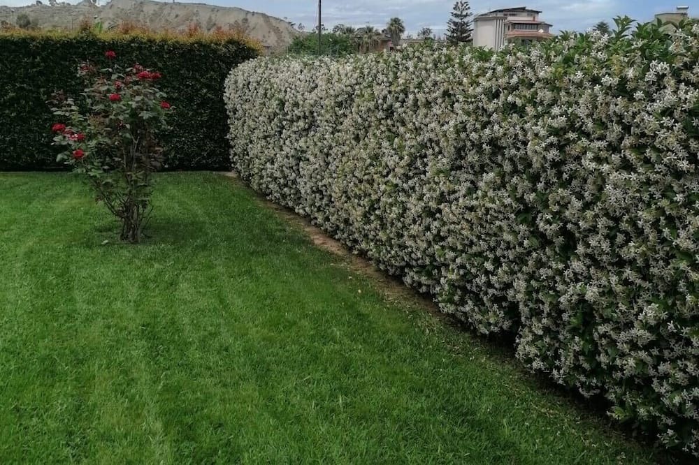 Photo of Outdoor in Caulonia