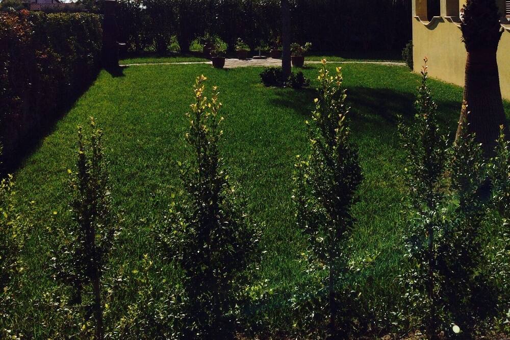 Photo of Outdoor in Caulonia