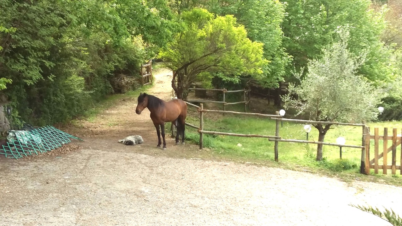 Photo of Outdoor in Gerano