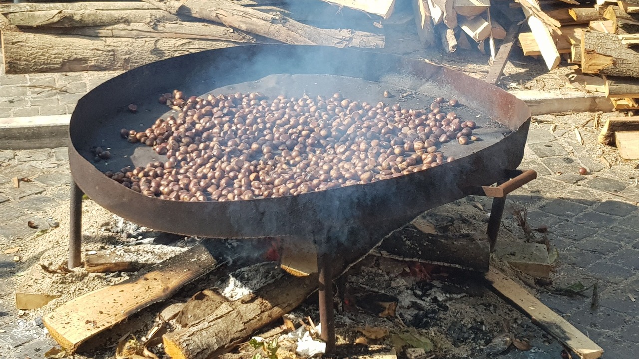 Photo of Outdoor in Gerano