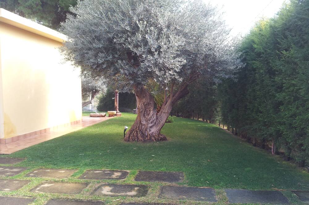 Photo of Outdoor in Roccella Jonica