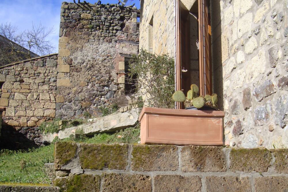 Photo of Outdoor in Latera