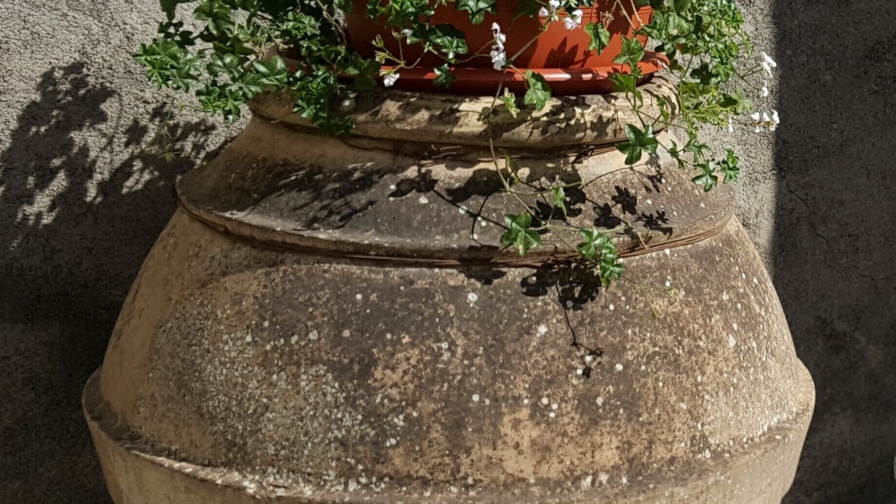 Photo of Outdoor in Capodimonte