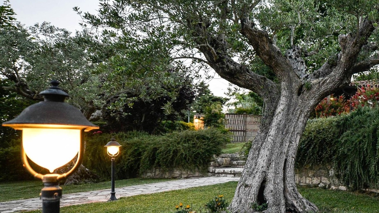 Photo of Outdoor in Piana Romana Farm