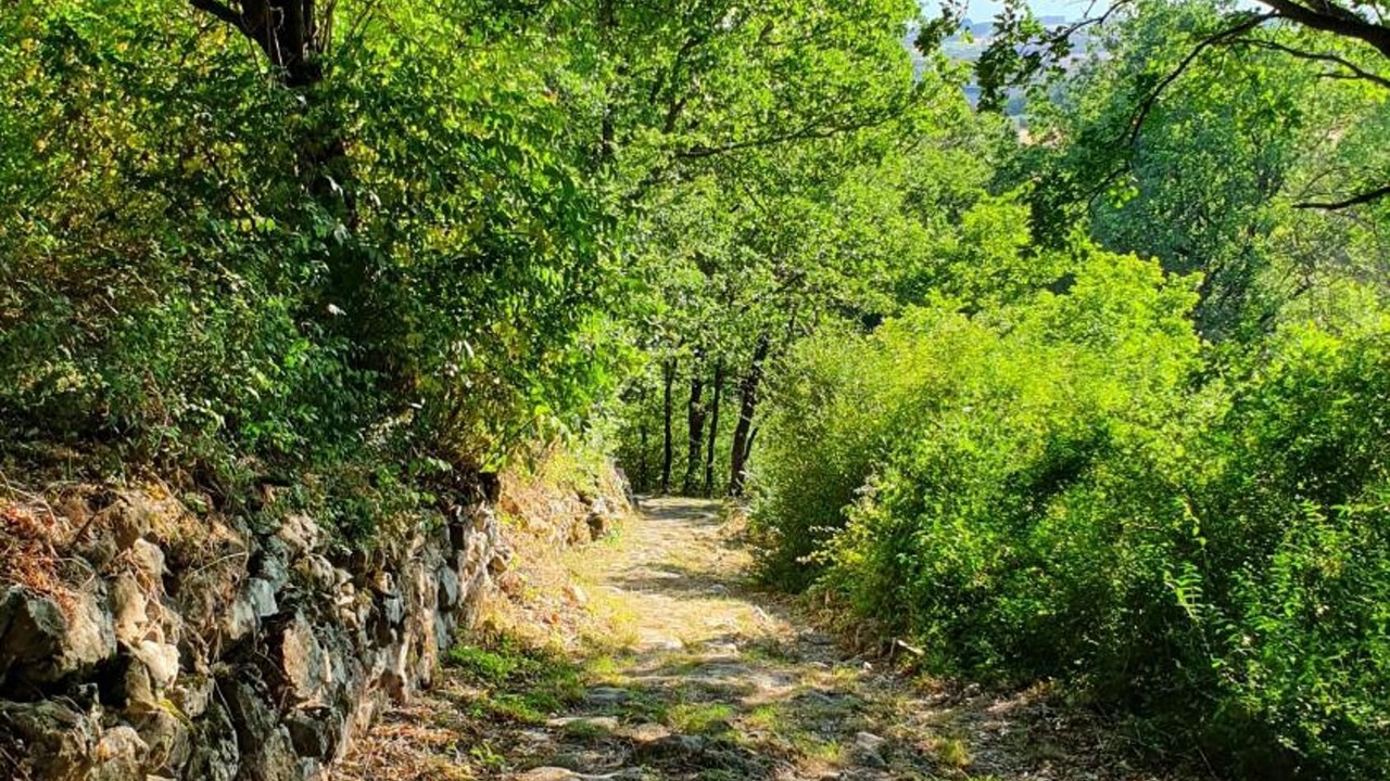 Photo of Outdoor in Piana Romana Farm