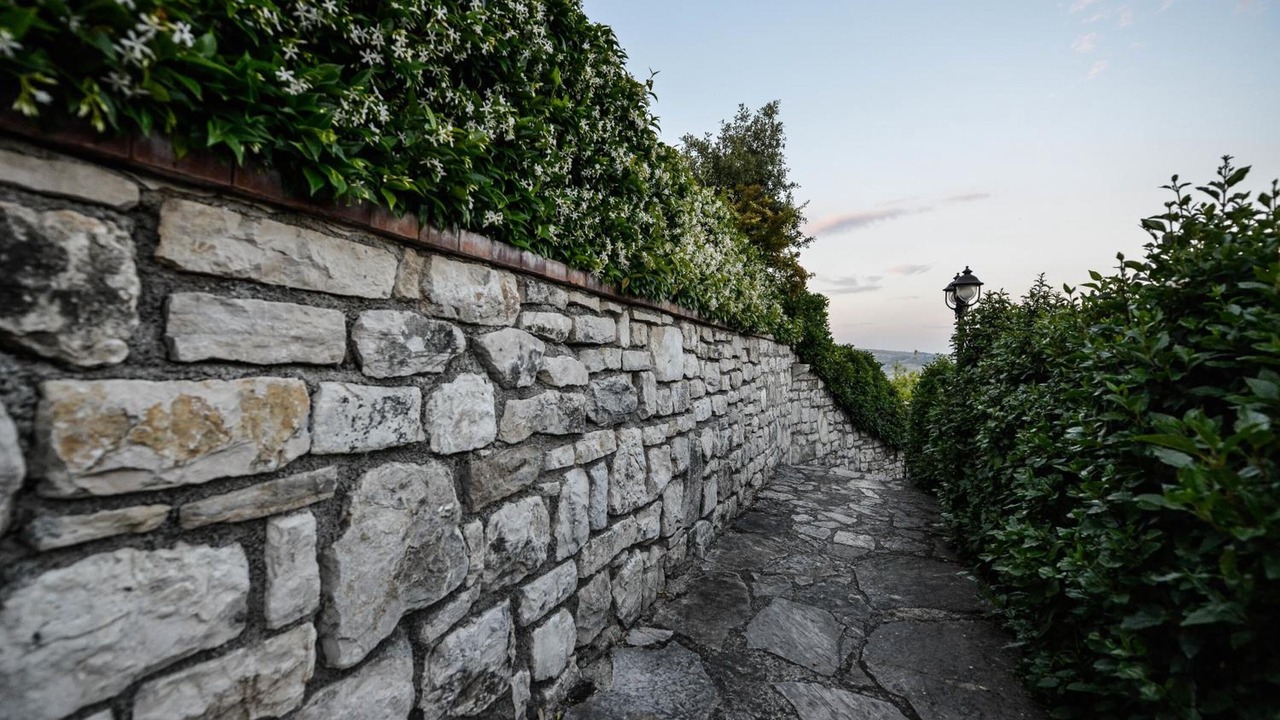 Photo of Outdoor in Piana Romana Farm