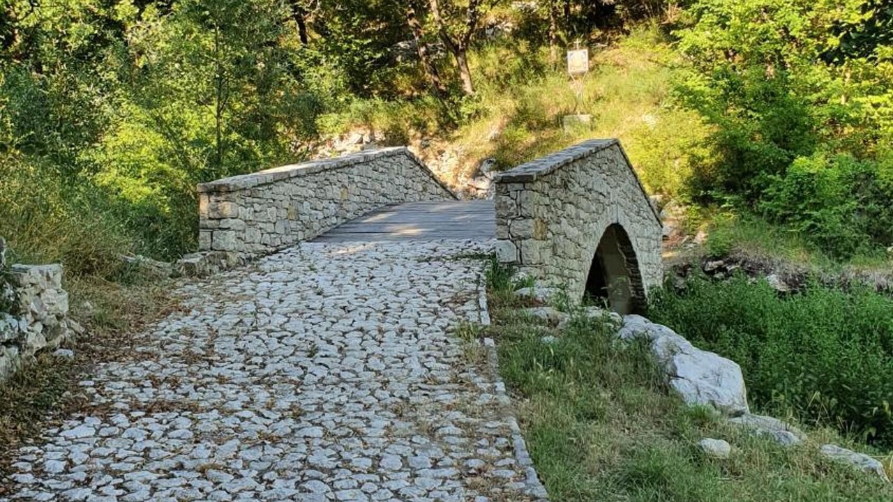 Photo of Outdoor in Piana Romana Farm