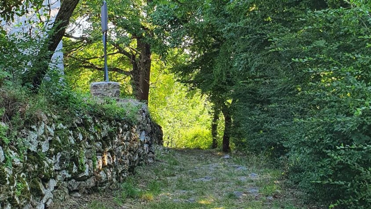 Photo of Outdoor in Piana Romana Farm