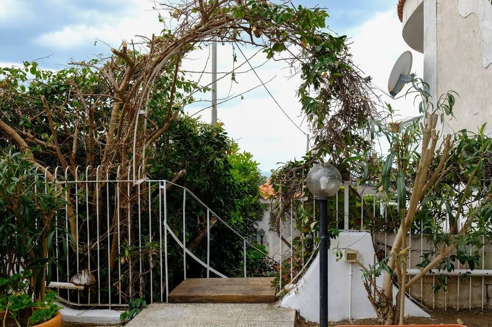 Photo of Outdoor in Licola