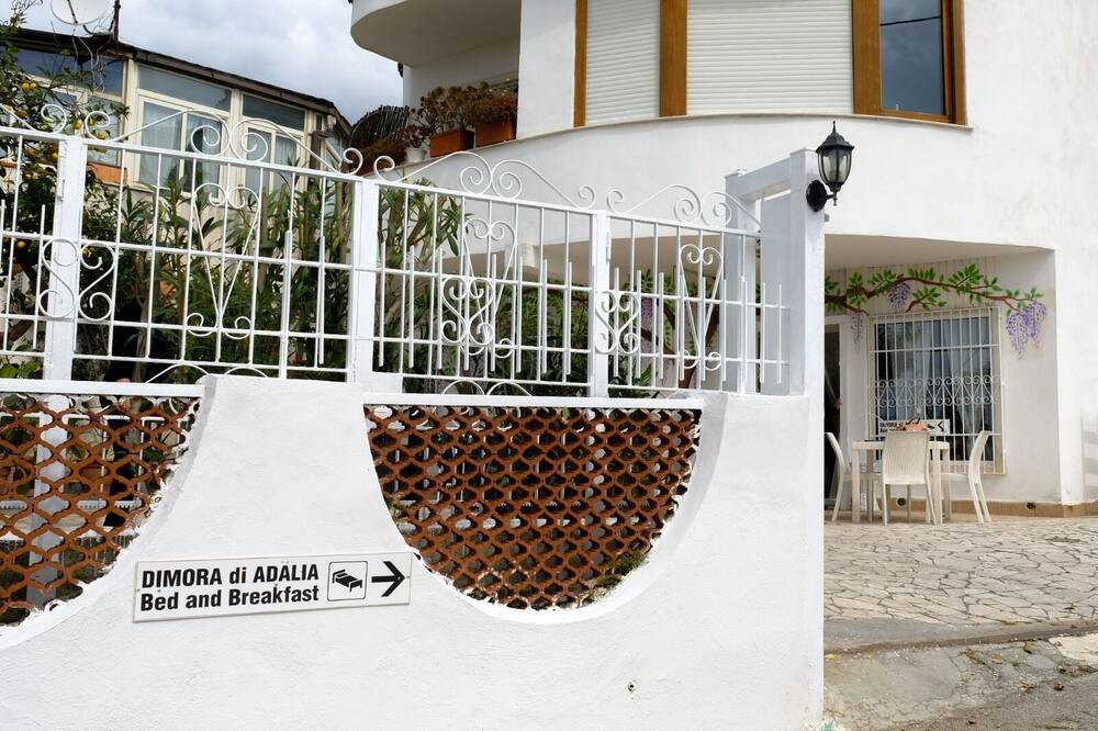 Photo of Outdoor in Licola