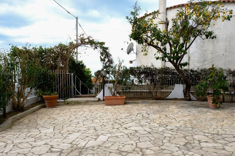 Photo of Outdoor in Licola