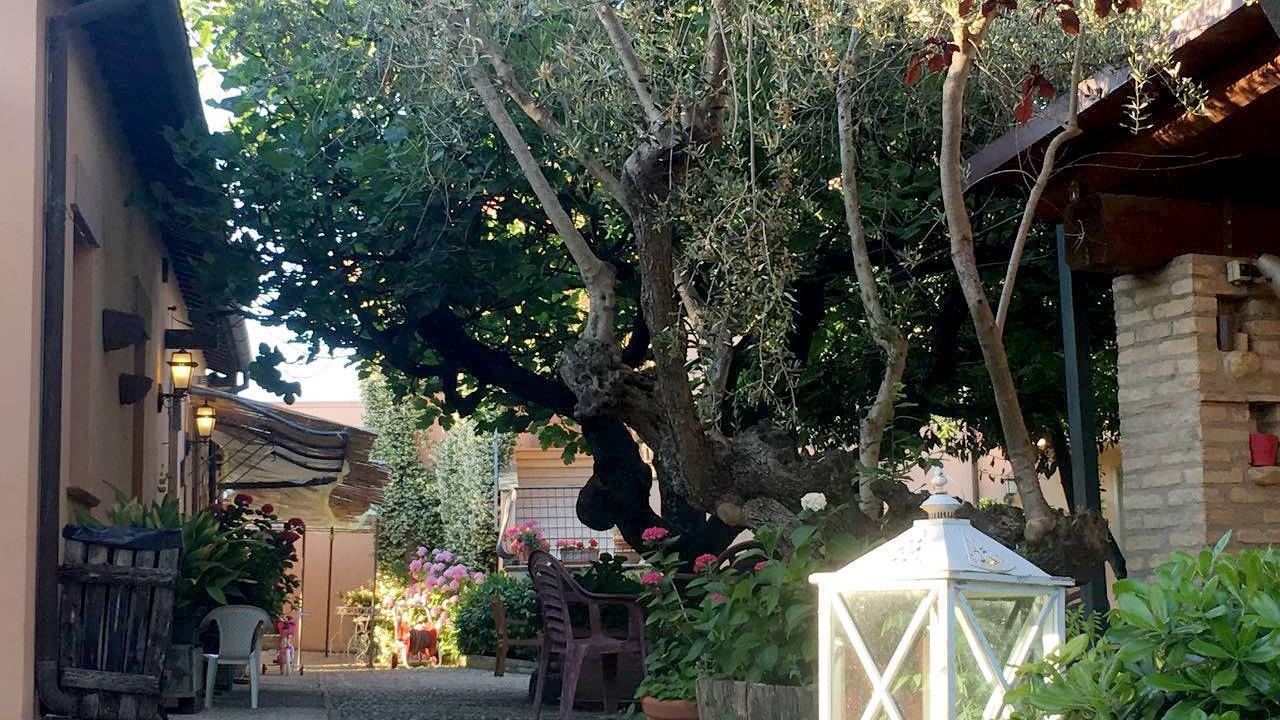 Photo of Outdoor in Silvi