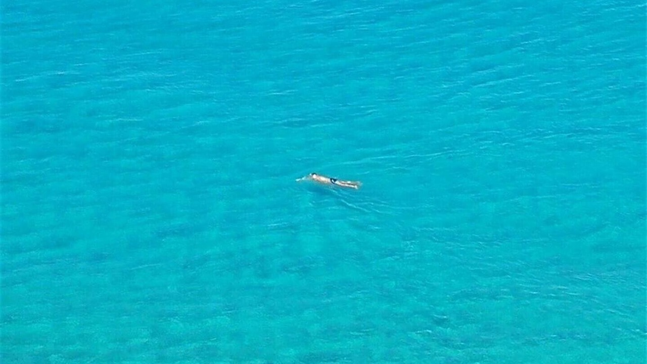 Photo of Others in Tropea