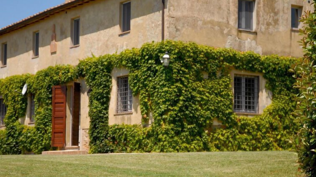 Photo of Outdoor in Montoro