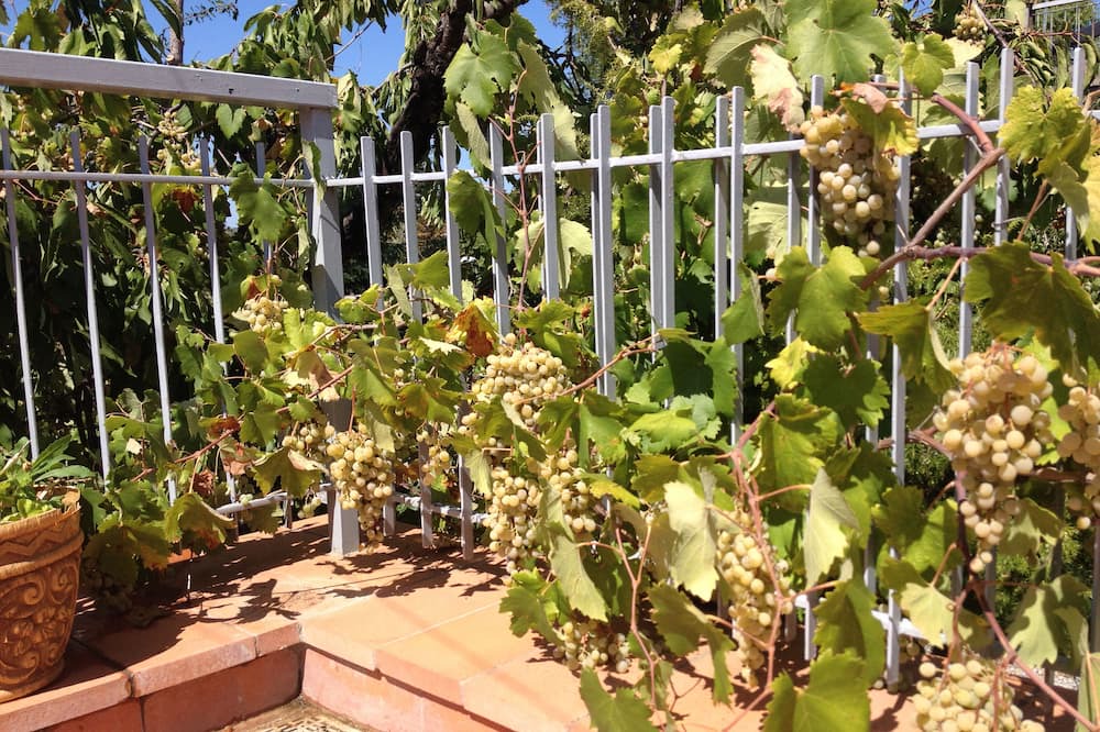 Photo of Outdoor in Panzano in Chianti