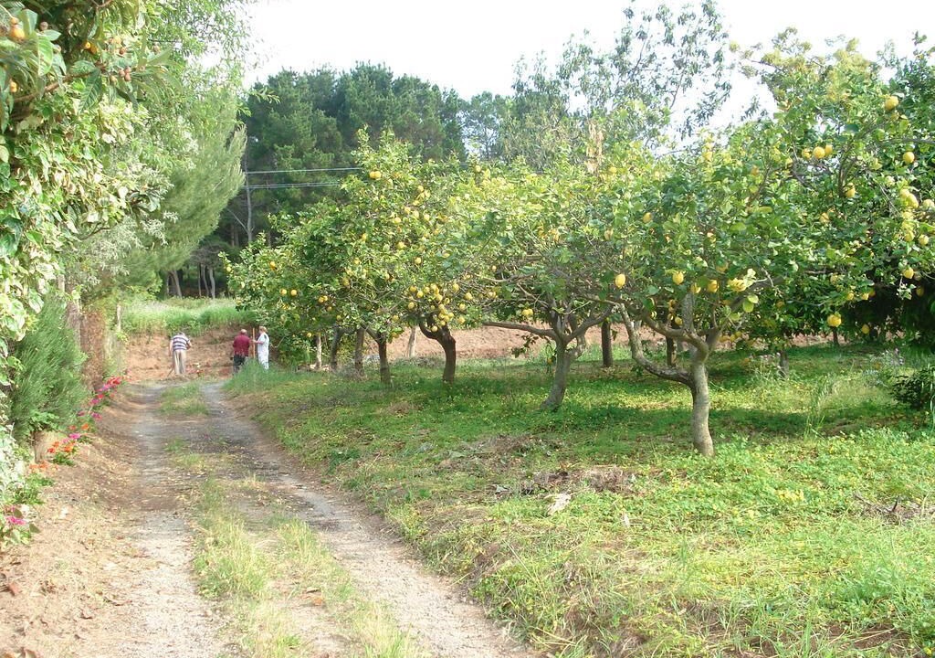 Photo of Outdoor in Parghelia