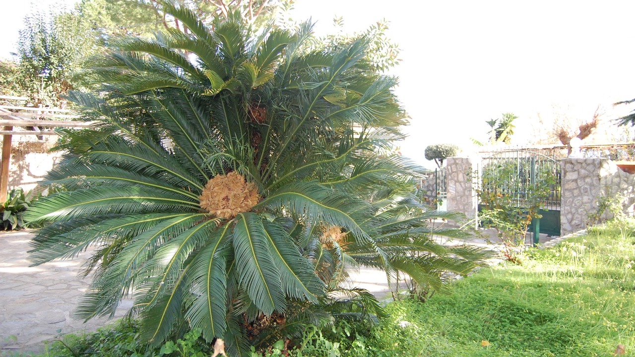 Photo of Others in Marina del Cantone