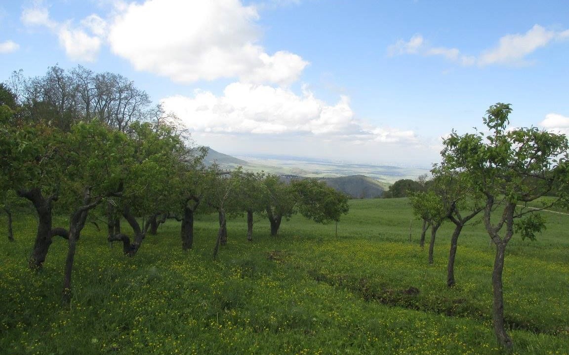 Photo of Outdoor in Bovino