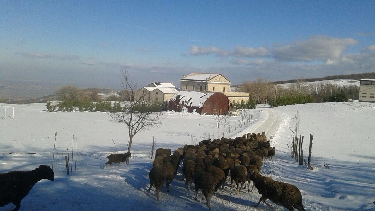 Photo of Outdoor in Bovino