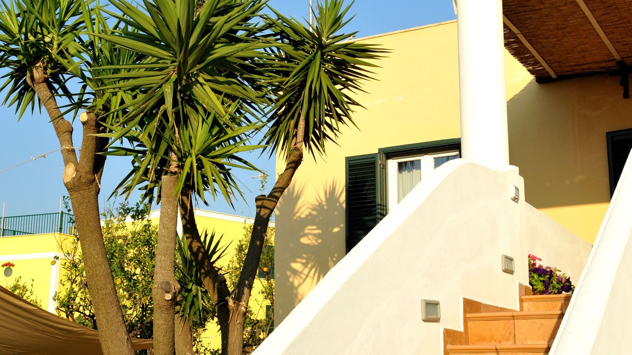 Photo of Outdoor in Procida