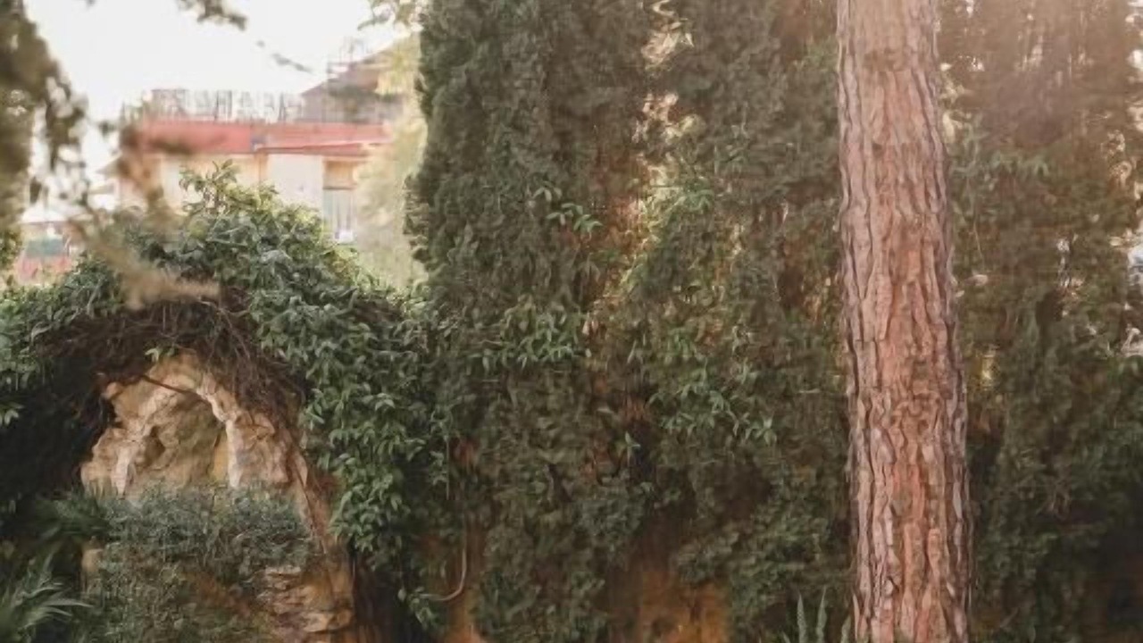 Photo of Outdoor in Arenella