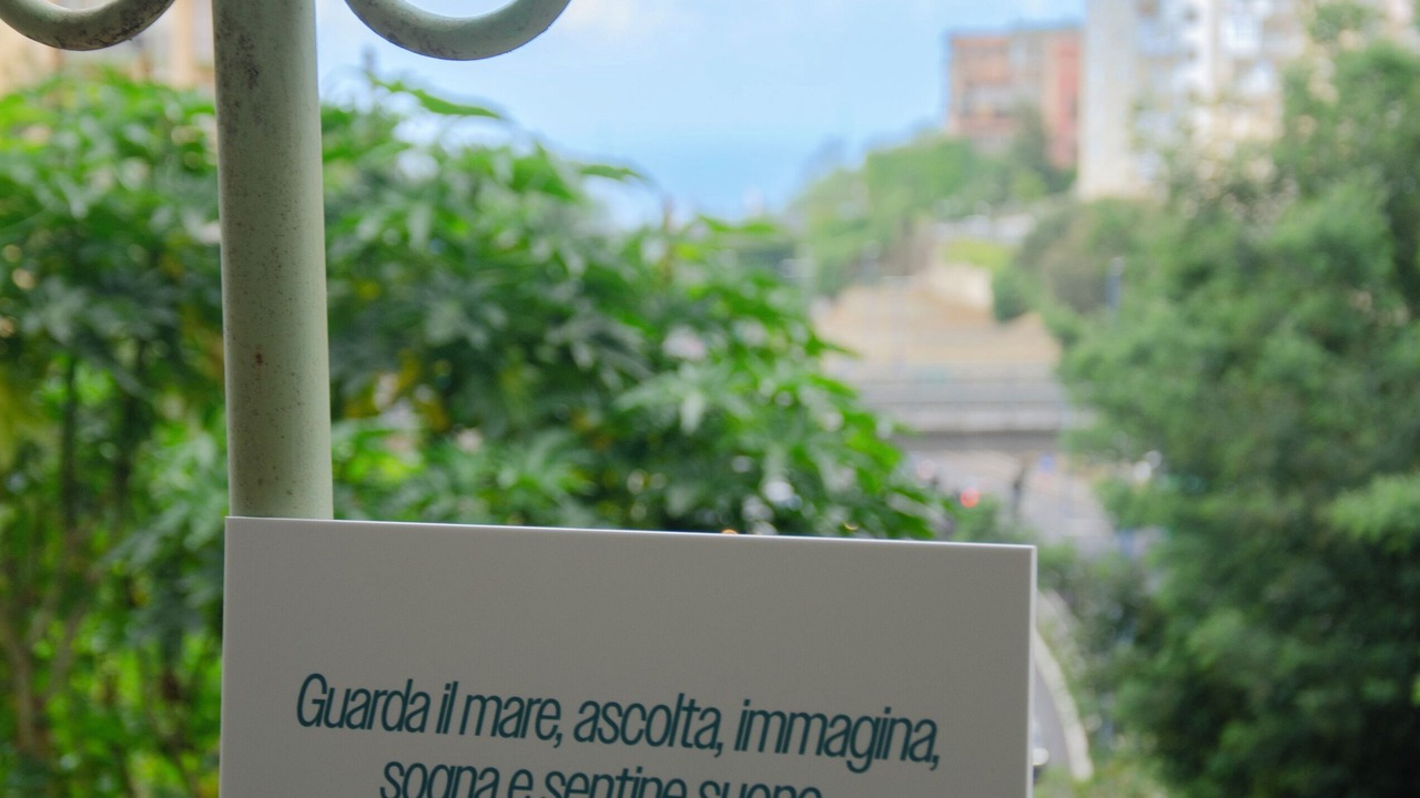 Photo of Others in Arenella