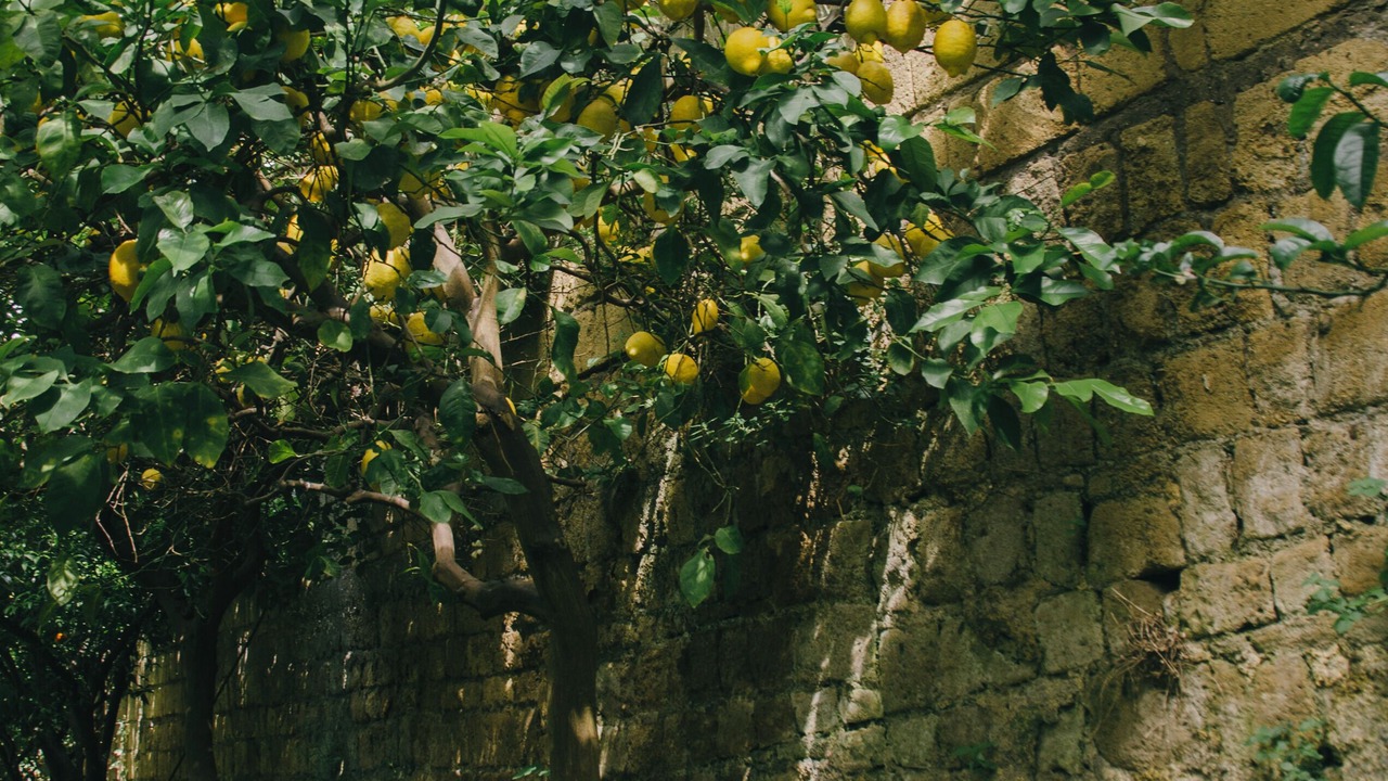 Photo of Outdoor in Arenella