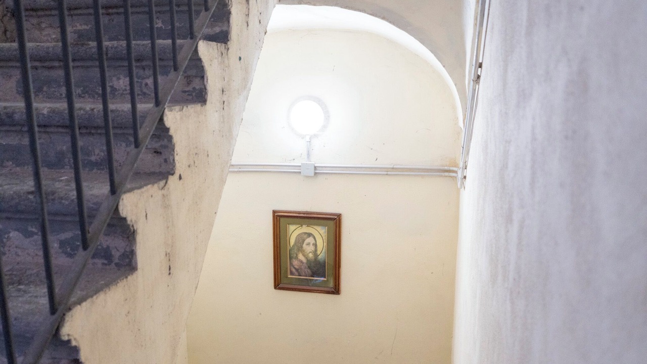 Photo of Others in Naples City Centre
