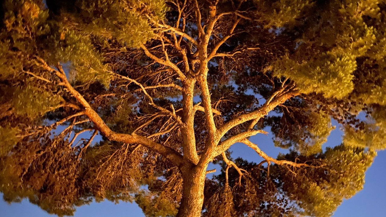 Photo of Outdoor in Anacapri