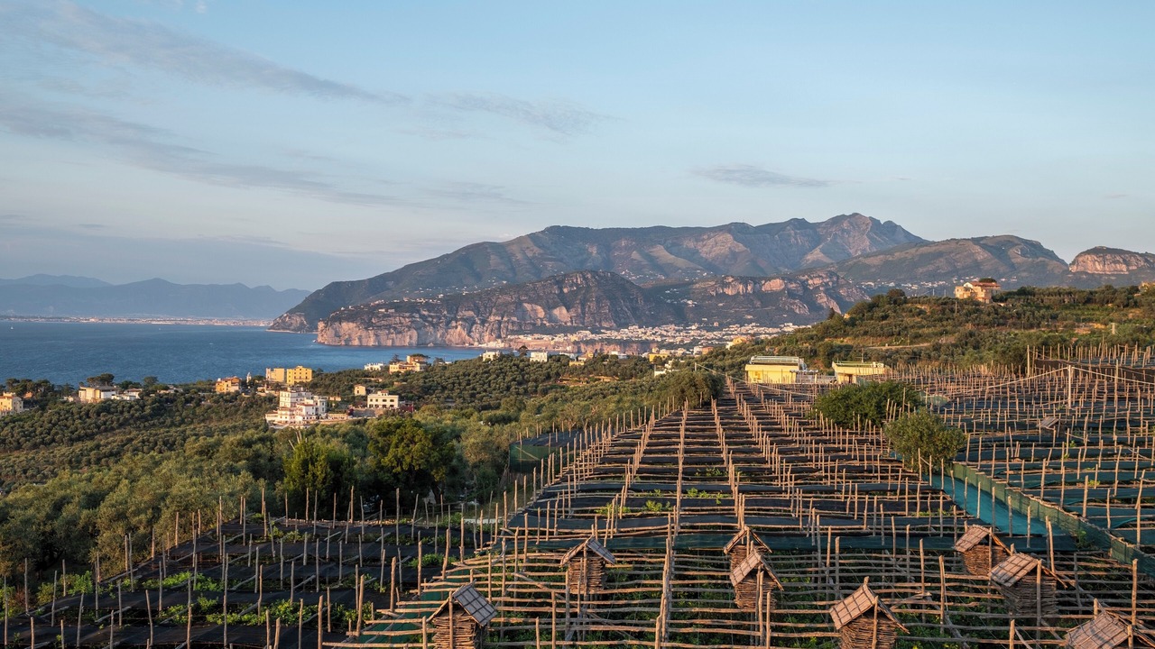 Photo of Outdoor in Marina di Puolo