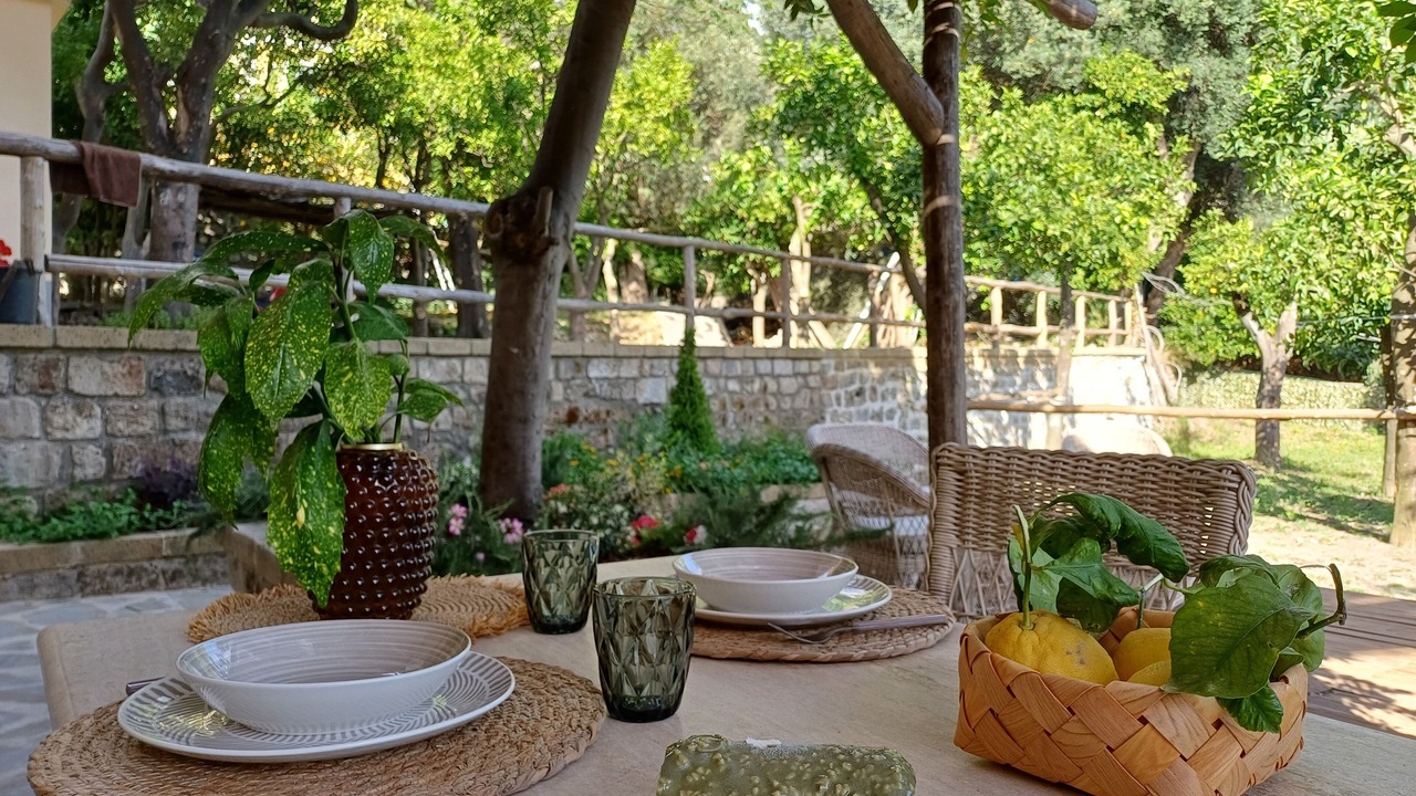 Photo of Outdoor in Meta