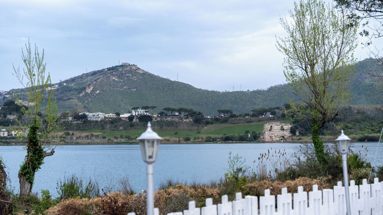 Photo of Outdoor in Licola
