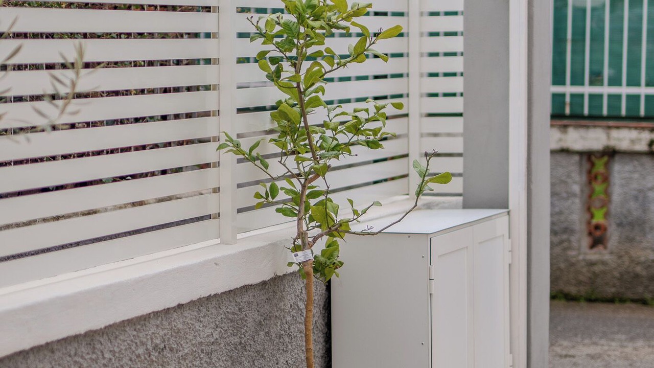 Photo of Outdoor in Scalea