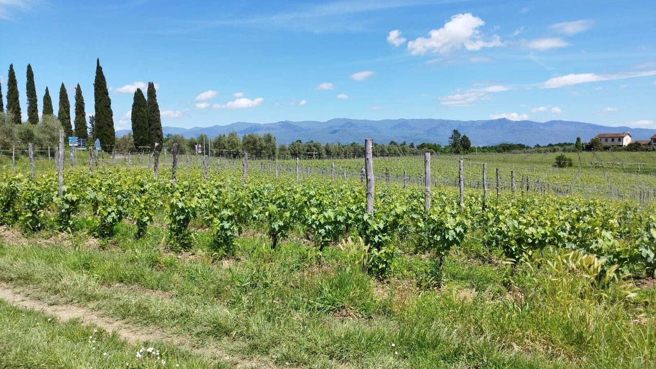 Photo of Outdoor in Cavriglia