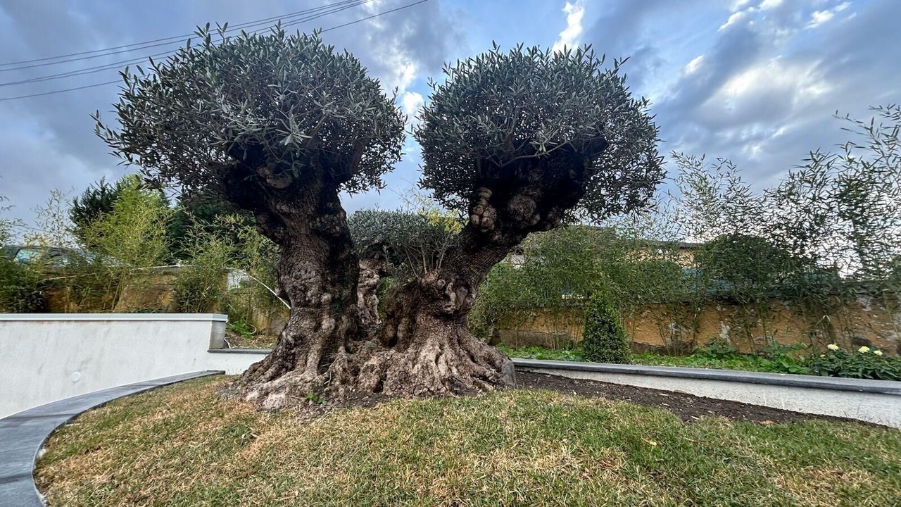 Photo of Outdoor in Somma Vesuviana