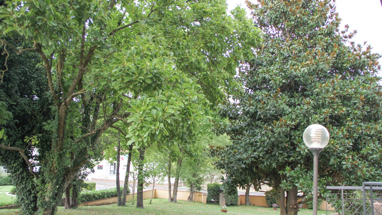 Photo of Outdoor in Piedimonte San Germano