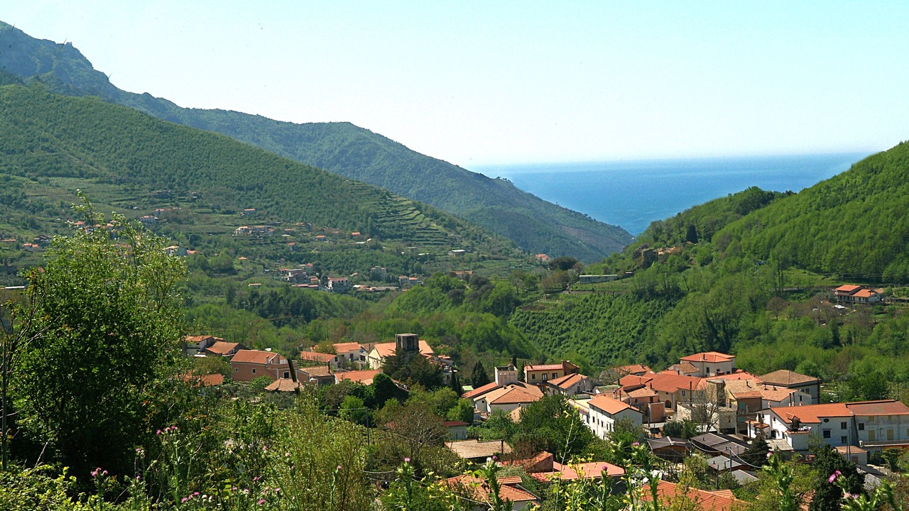 Photo of Others in Campinola