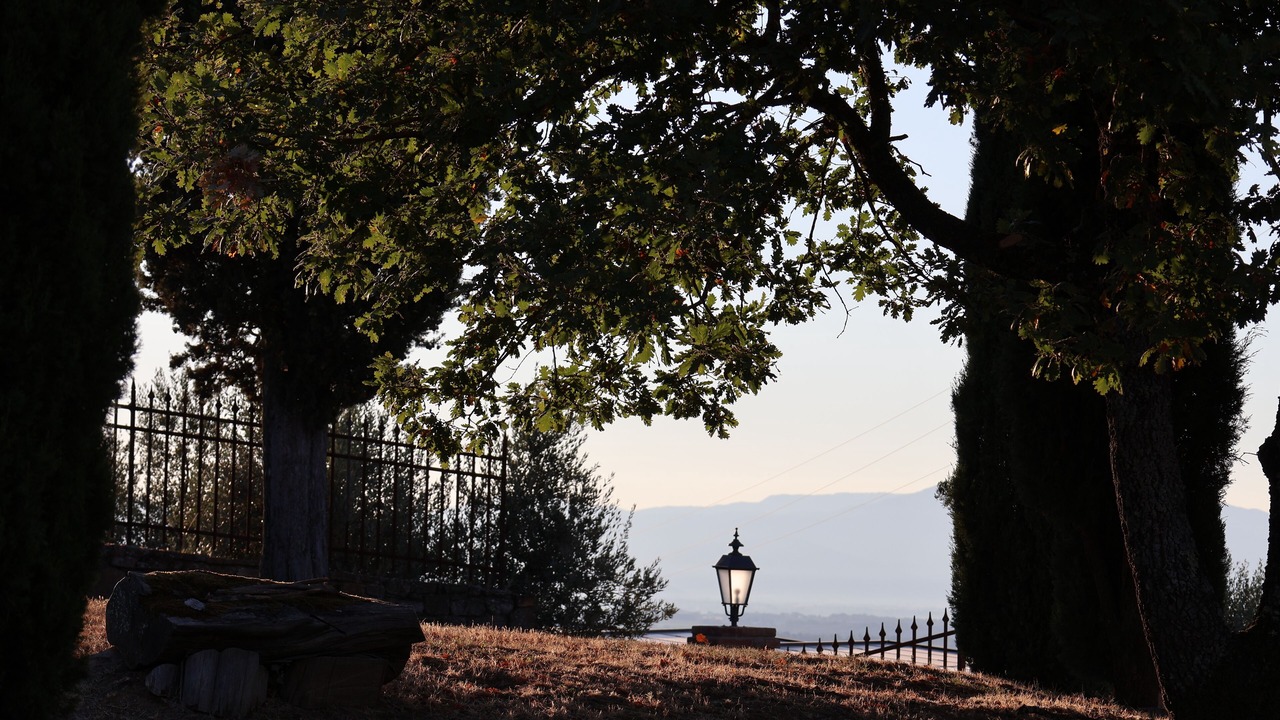 Photo of Outdoor in Monte San Savino