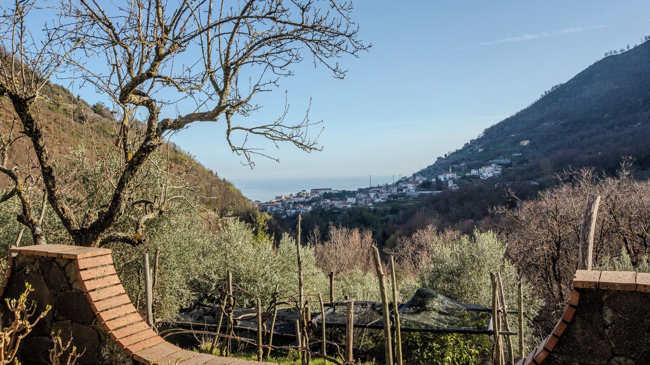 Photo of Outdoor in Scala