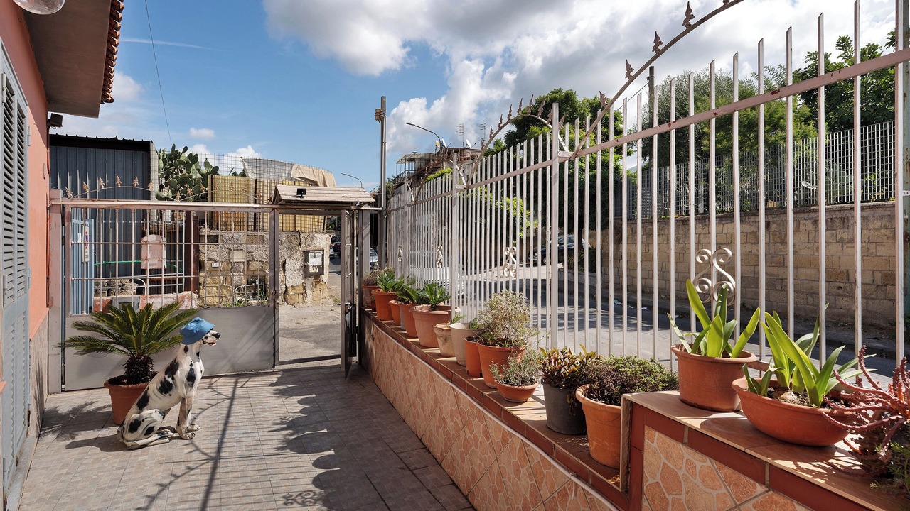 Photo of Outdoor in Ercolano