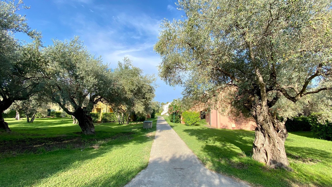 Photo of Outdoor in Isca Marina