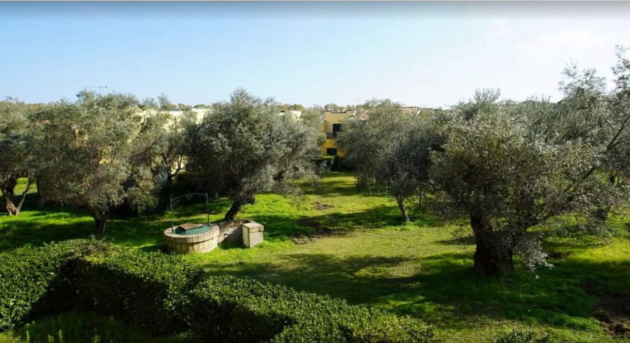Photo of Outdoor in Isca Marina